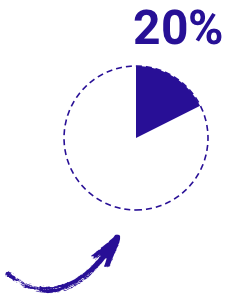 20%